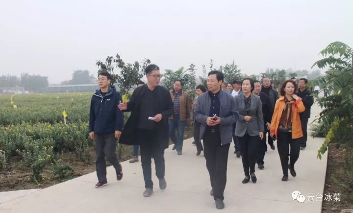 云臺冰菊基地發(fā)生了什么？一批批領(lǐng)導(dǎo)專家團(tuán)隊(duì)前來！