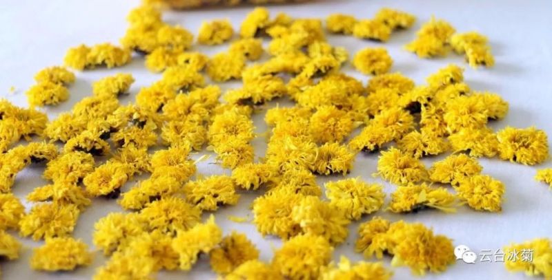 2018，種下希望，靜待花開！